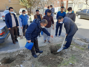 مراسم درختکاری توسط جهادگران جهاددانشگاهی کردستان برگزار شد